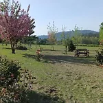 Quinta Do Toutuco Arouca