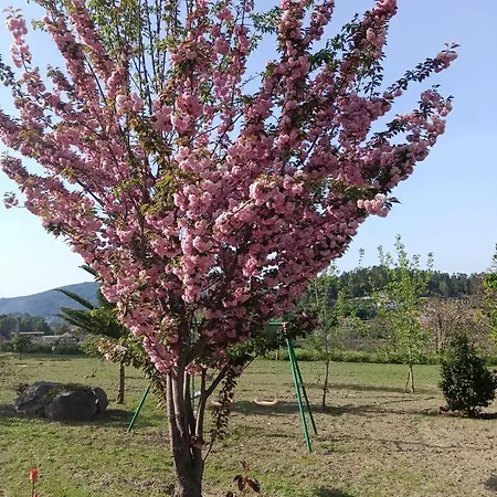 컨트리하우스 Quinta Do Toutuco 아로카