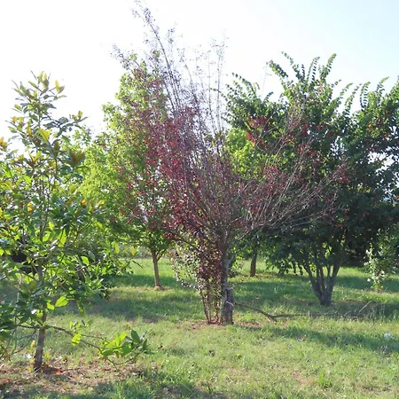 Quinta Do Toutuco Lantställe *