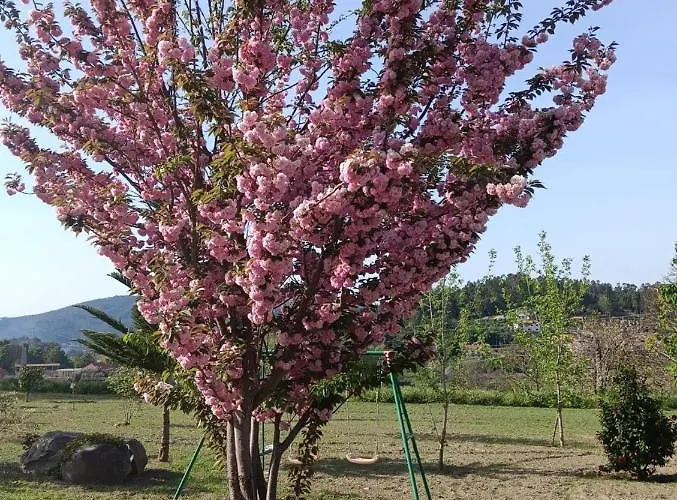Lantställe Quinta Do Toutuco Arouca