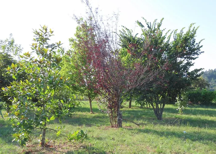 Quinta Do Toutuco Landhaus *