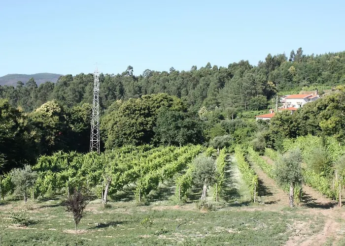 Quinta Do Toutuco